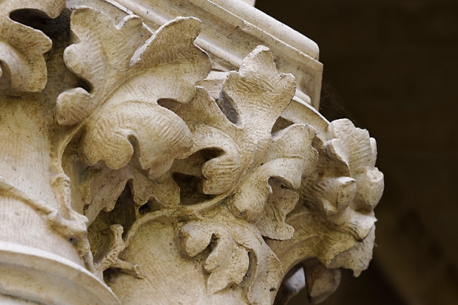 Bayonne-Avril 2012-173